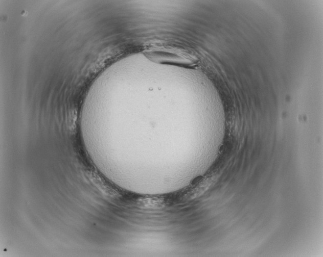 X0000088210660200706051258