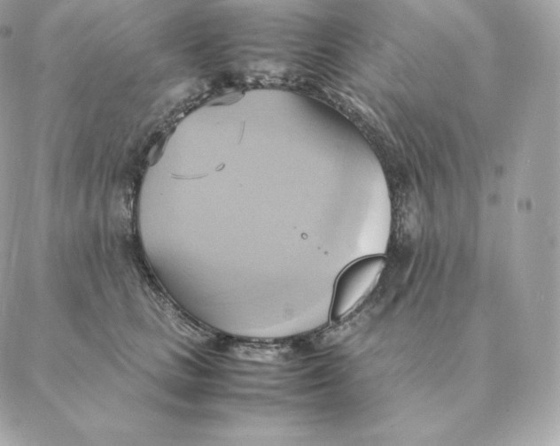 X0000088210661200706051258