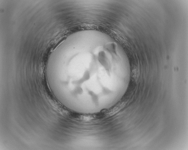 X0000088210662200706051258