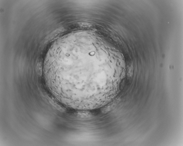 X0000088210666200706051258