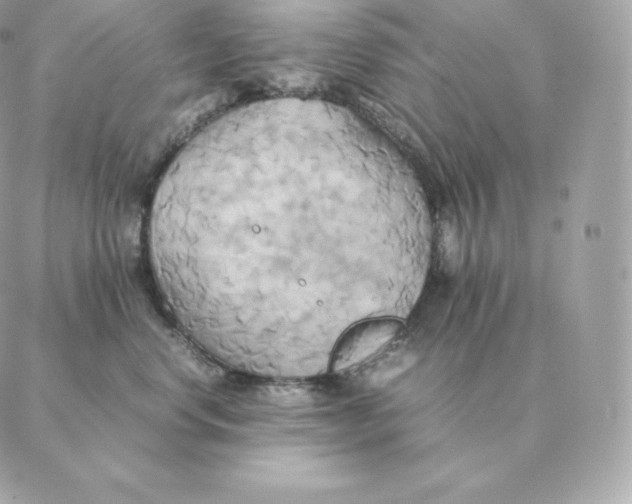 X0000088210668200706051258