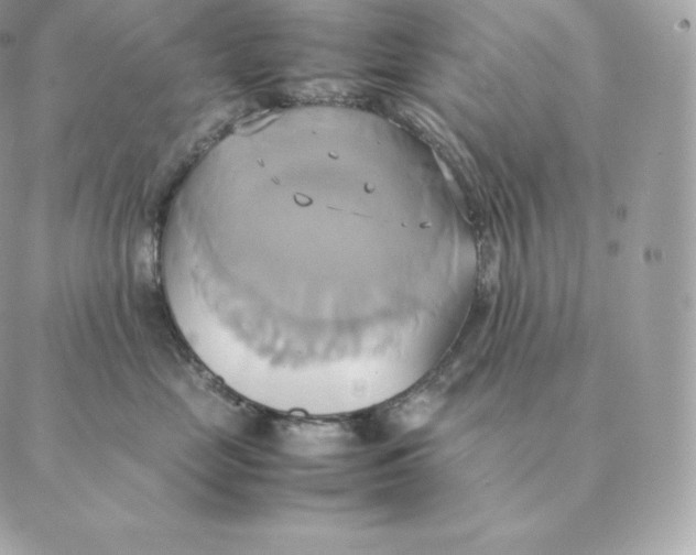 X0000088210669200706051258