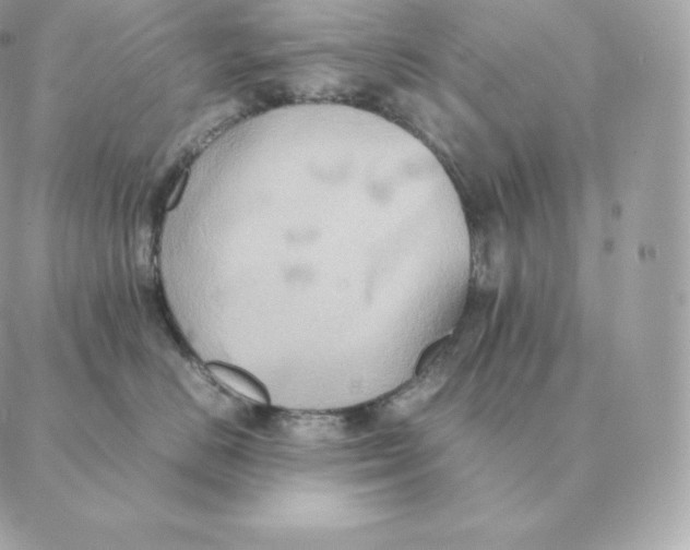 X0000088210670200706051258