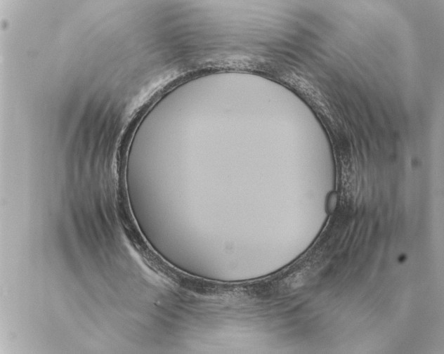 X0000088210674200706051257