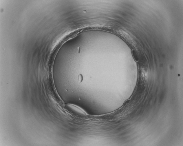 X0000088210676200706051257