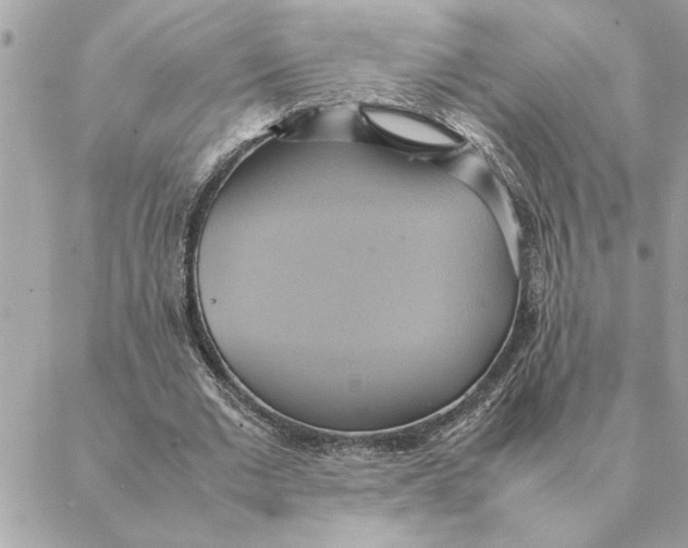 X0000088210677200706051257