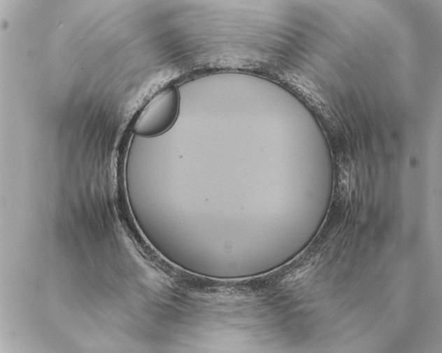 X0000088210678200706051257