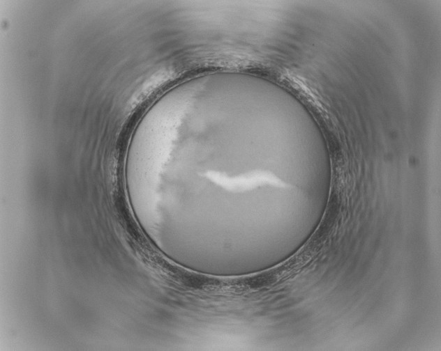 X0000088210679200706051257