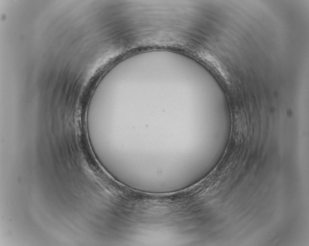 X0000088210680200706051257