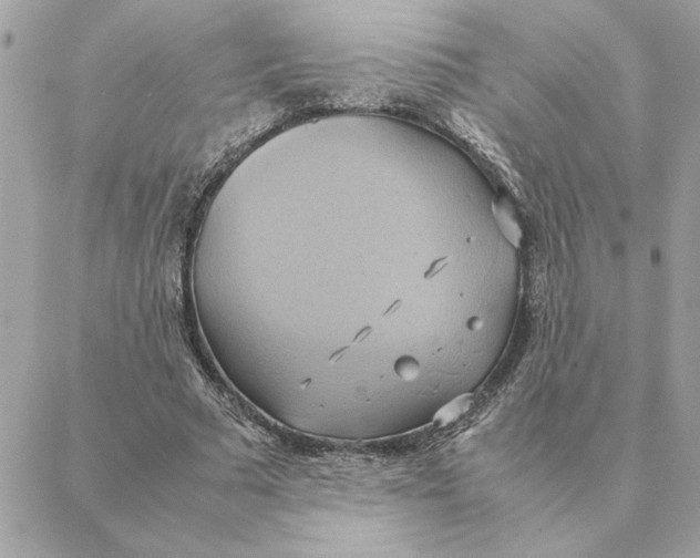 X0000088210681200706051257