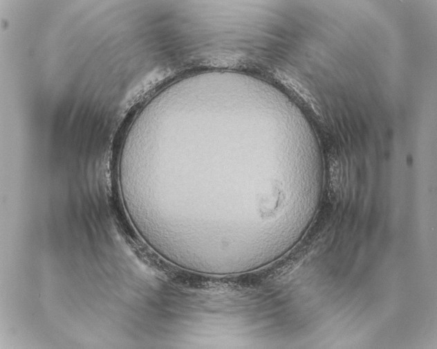 X0000088210682200706051257