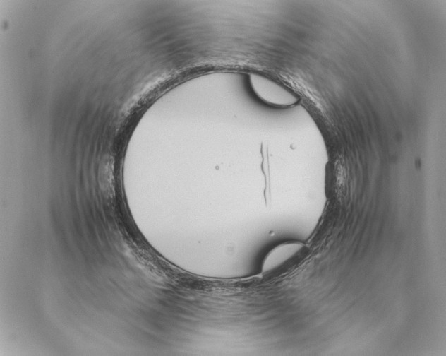 X0000088210684200706051257