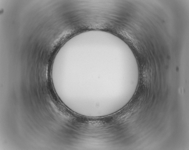 X0000088210686200706051257