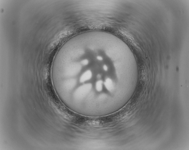 X0000088210687200706051257