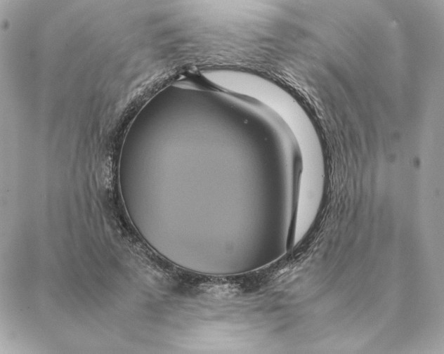 X0000088210689200706051257