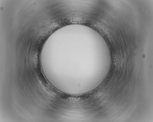 X0000088210690200706051257