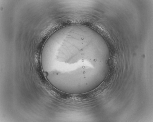 X0000088210691200706051257