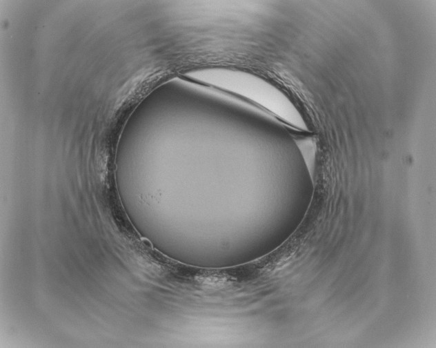 X0000088210693200706051257