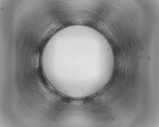 X0000088210694200706051257