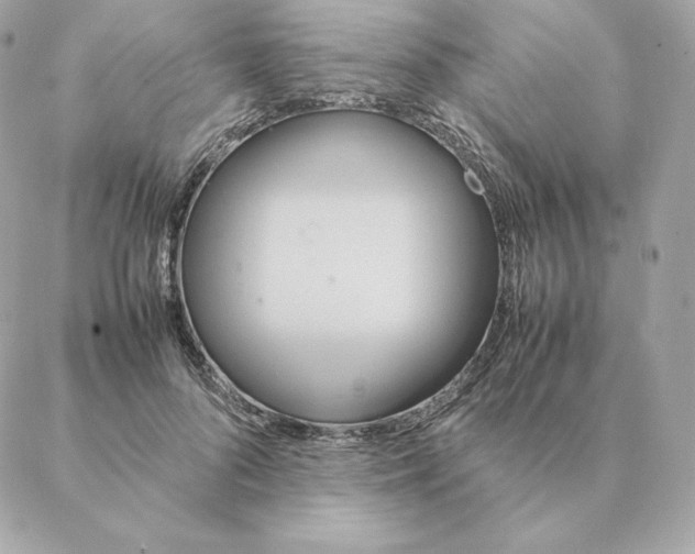 X0000088210696200706051257