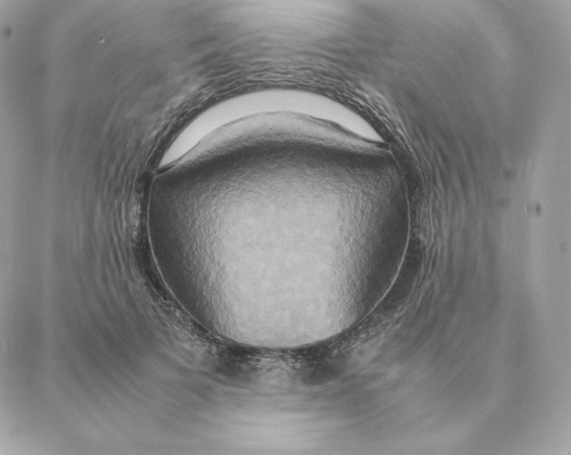 X0000088210697200706051257