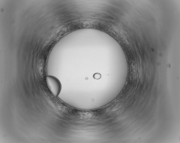 X0000088210698200706051257