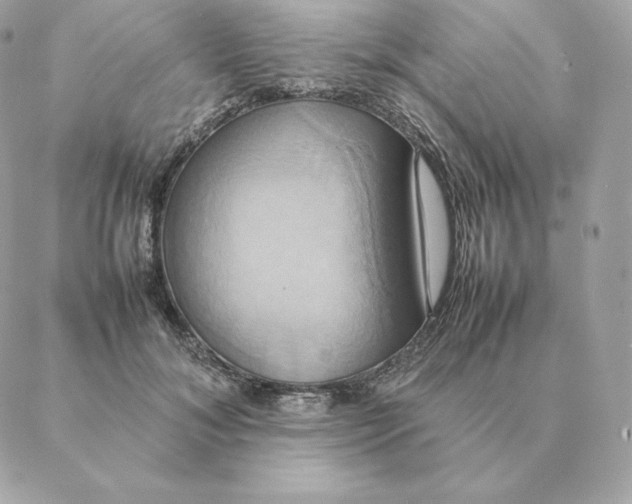 X0000088210700200706051257