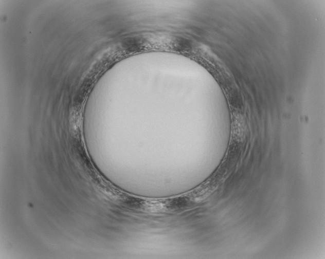 X0000088210701200706051257