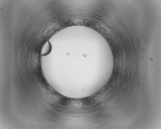 X0000088210702200706051257