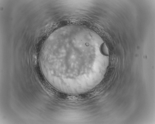 X0000088210703200706051257