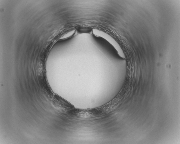 X0000088210704200706051257