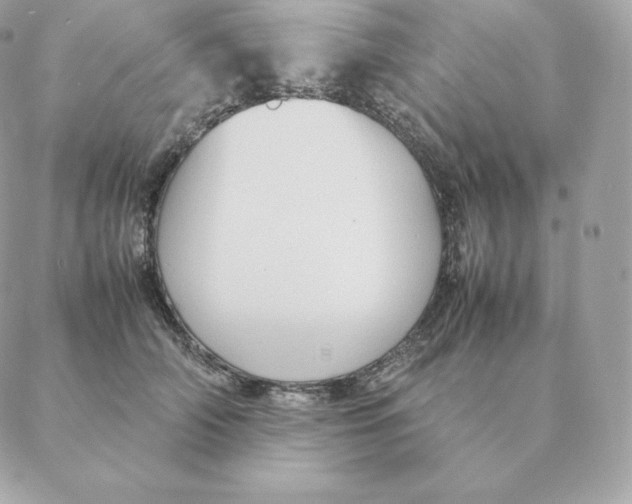 X0000088210706200706051257