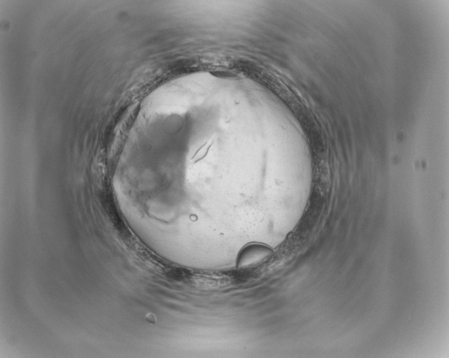 X0000088210707200706051257