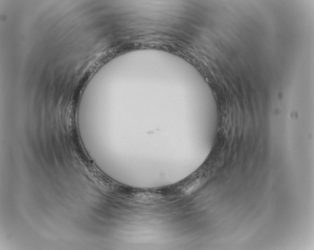 X0000088210708200706051257