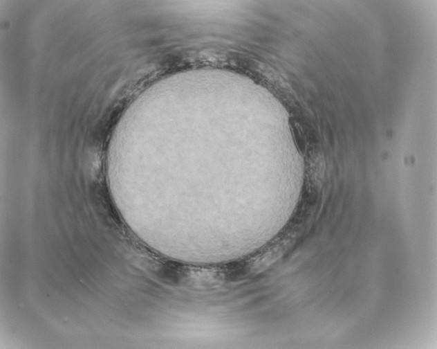 X0000088210709200706051257