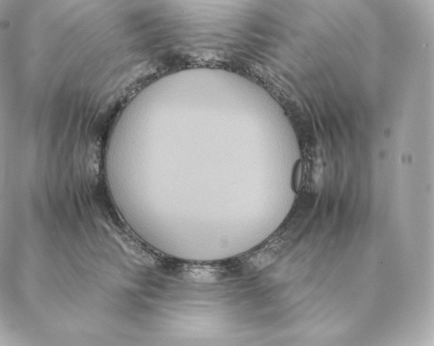 X0000088210710200706051257