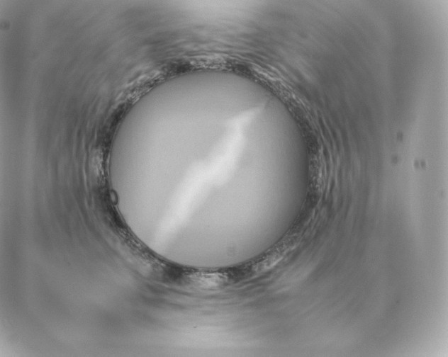 X0000088210711200706051257