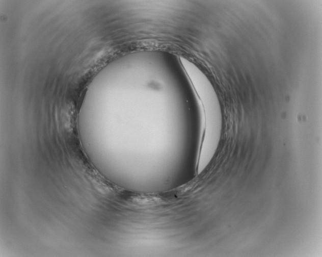 X0000088210712200706051257