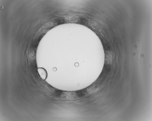 X0000088210713200706051257