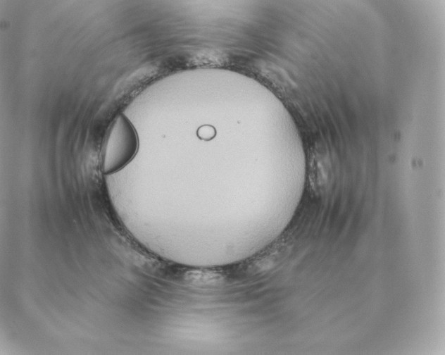 X0000088210714200706051257