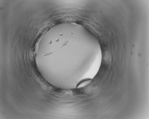 X0000088210715200706051257