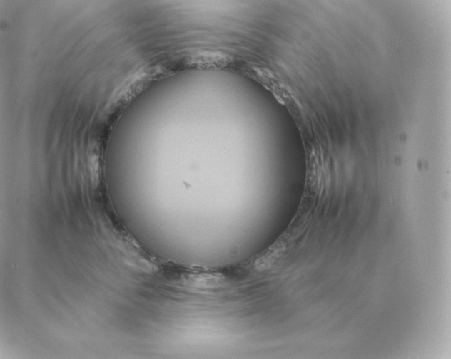 X0000088210716200706051257