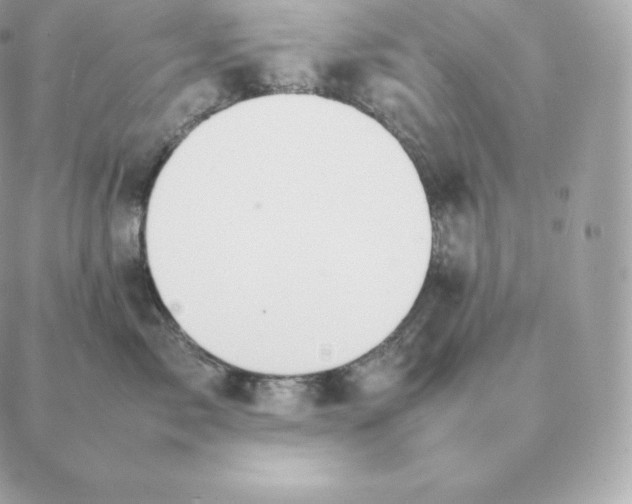 X0000088210717200706051257