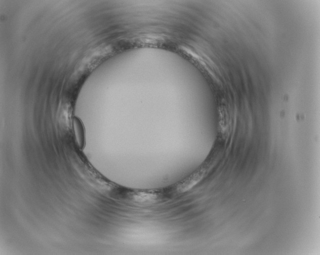 X0000088210718200706051257