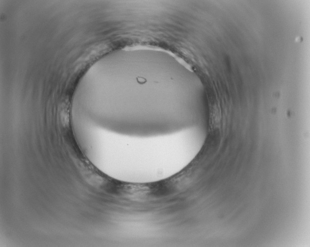 X0000088210719200706051257