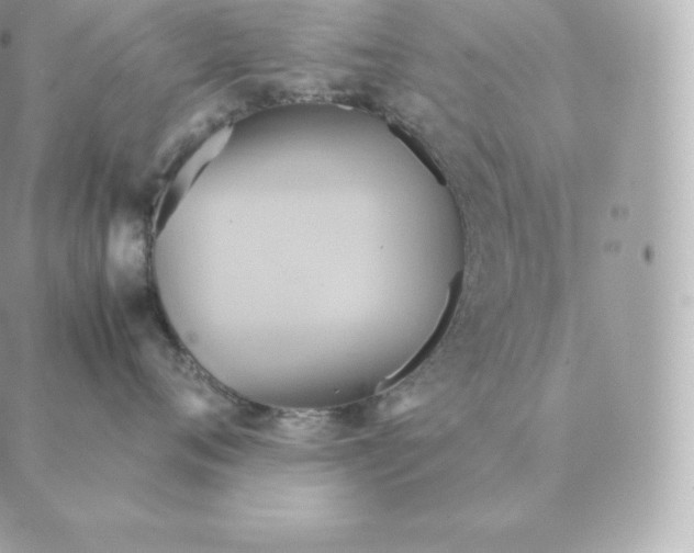 X0000088210720200706051257