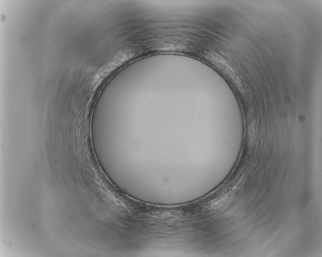 X0000088210721200706051256