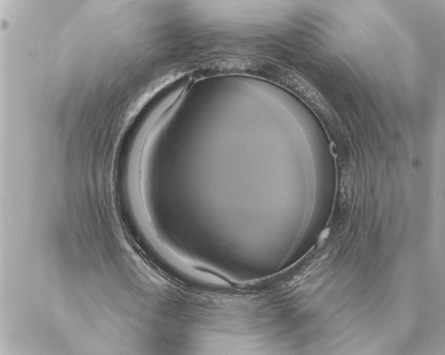 X0000088210722200706051256