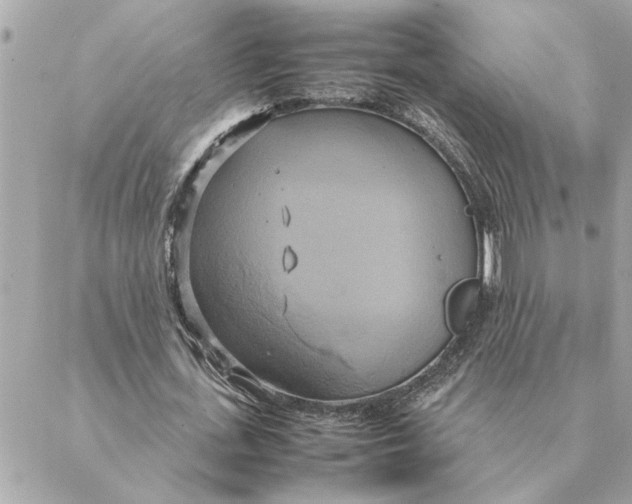 X0000088210723200706051256