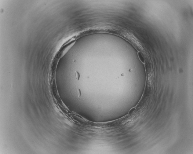 X0000088210724200706051256